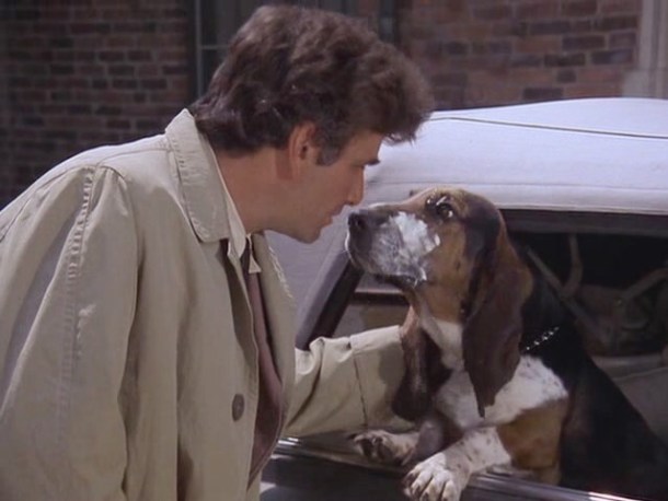 columbo_dog